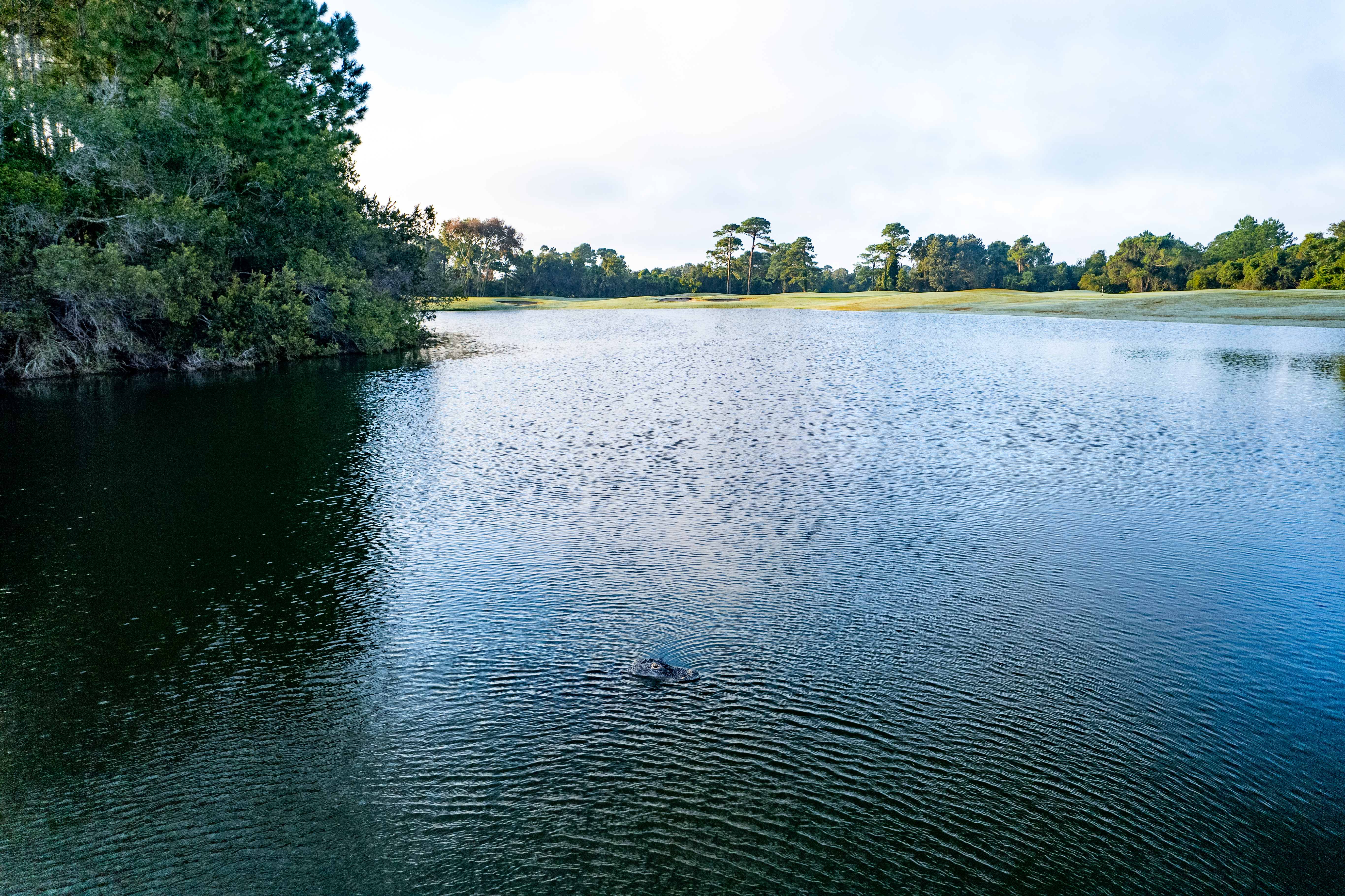 The Amelia River Club - Photo 2